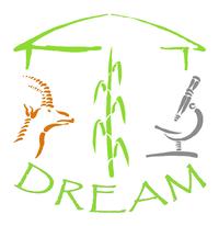 Dream project logo. ©